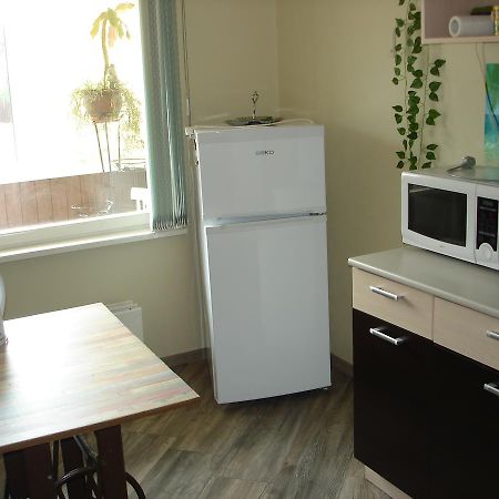 Siguldas Street Apartment In Ventspils Esterno foto
